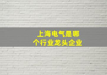 上海电气是哪个行业龙头企业