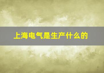 上海电气是生产什么的