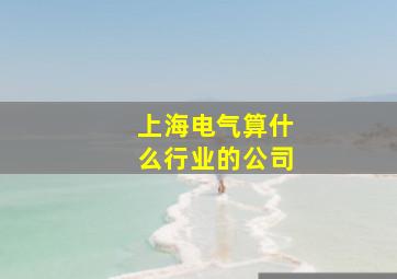 上海电气算什么行业的公司