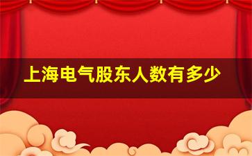 上海电气股东人数有多少