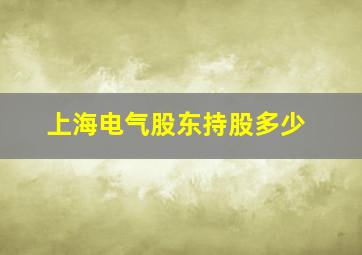 上海电气股东持股多少