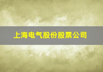 上海电气股份股票公司