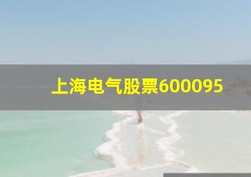 上海电气股票600095