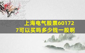 上海电气股票601727可以买吗多少钱一股啊