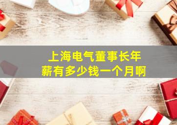 上海电气董事长年薪有多少钱一个月啊