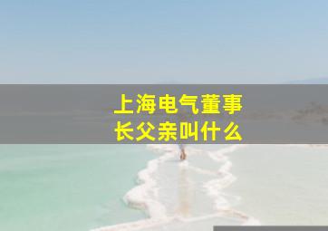 上海电气董事长父亲叫什么