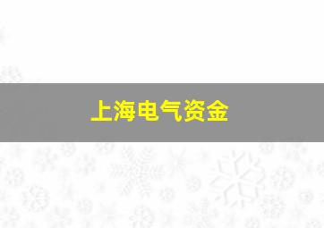 上海电气资金