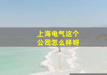 上海电气这个公司怎么样呀