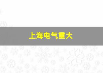 上海电气重大