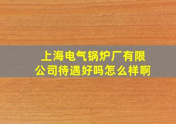 上海电气锅炉厂有限公司待遇好吗怎么样啊