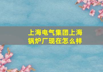 上海电气集团上海锅炉厂现在怎么样