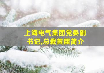 上海电气集团党委副书记,总裁黄瓯简介