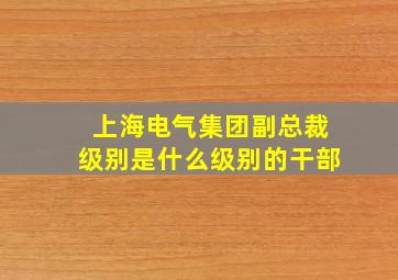 上海电气集团副总裁级别是什么级别的干部