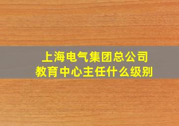 上海电气集团总公司教育中心主任什么级别