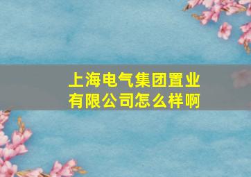 上海电气集团置业有限公司怎么样啊