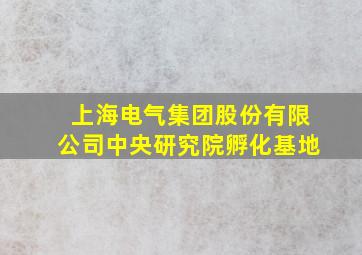 上海电气集团股份有限公司中央研究院孵化基地