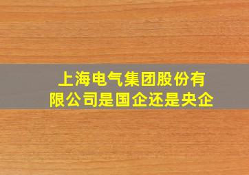 上海电气集团股份有限公司是国企还是央企