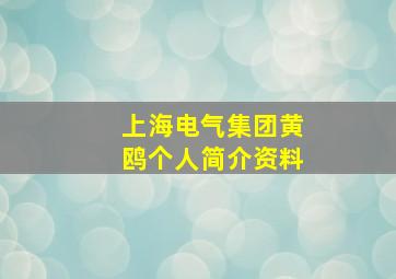 上海电气集团黄鸥个人简介资料