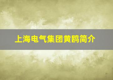 上海电气集团黄鸥简介