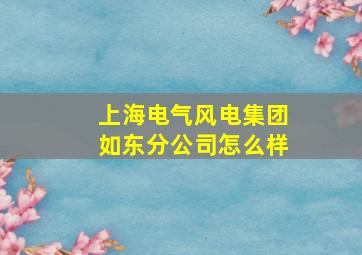 上海电气风电集团如东分公司怎么样