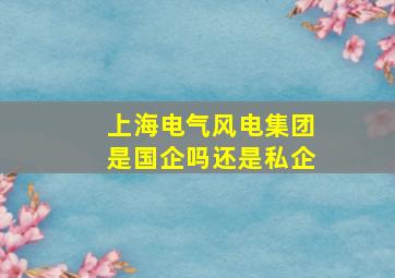 上海电气风电集团是国企吗还是私企