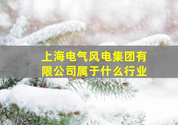 上海电气风电集团有限公司属于什么行业