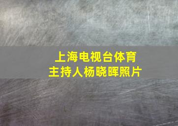 上海电视台体育主持人杨晓晖照片