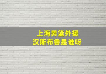 上海男篮外援汉斯布鲁是谁呀