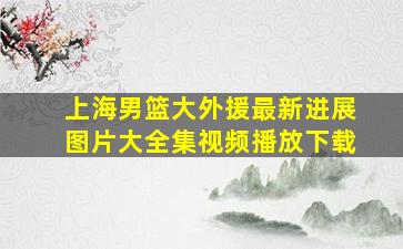 上海男篮大外援最新进展图片大全集视频播放下载