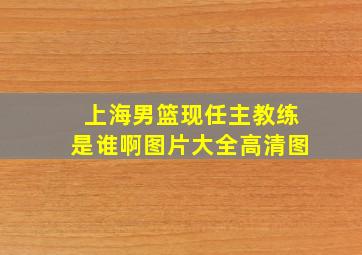 上海男篮现任主教练是谁啊图片大全高清图