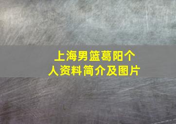 上海男篮葛阳个人资料简介及图片