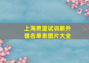 上海男篮试训新外援名单表图片大全