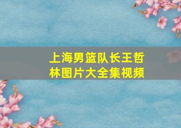 上海男篮队长王哲林图片大全集视频