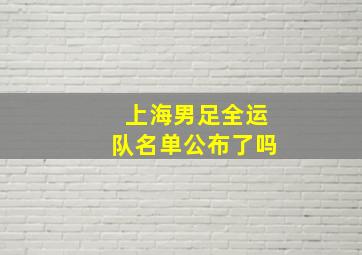 上海男足全运队名单公布了吗