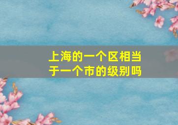 上海的一个区相当于一个市的级别吗