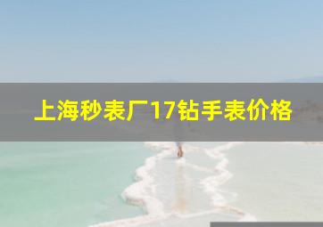 上海秒表厂17钻手表价格