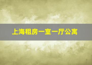 上海租房一室一厅公寓