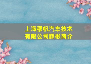 上海穆帆汽车技术有限公司薛彬简介