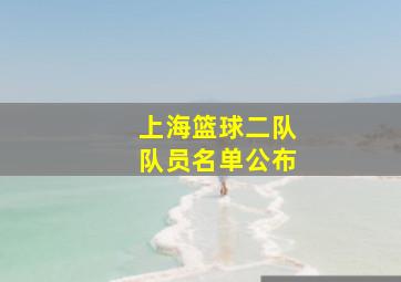 上海篮球二队队员名单公布