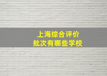 上海综合评价批次有哪些学校