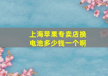 上海苹果专卖店换电池多少钱一个啊