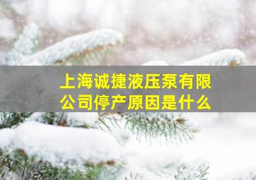 上海诚捷液压泵有限公司停产原因是什么