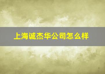 上海诚杰华公司怎么样