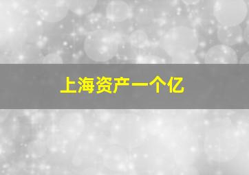 上海资产一个亿