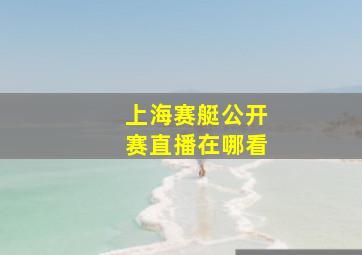 上海赛艇公开赛直播在哪看