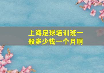 上海足球培训班一般多少钱一个月啊