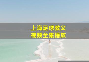 上海足球教父视频全集播放