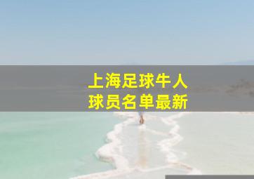 上海足球牛人球员名单最新