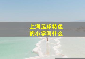 上海足球特色的小学叫什么