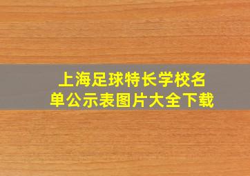 上海足球特长学校名单公示表图片大全下载